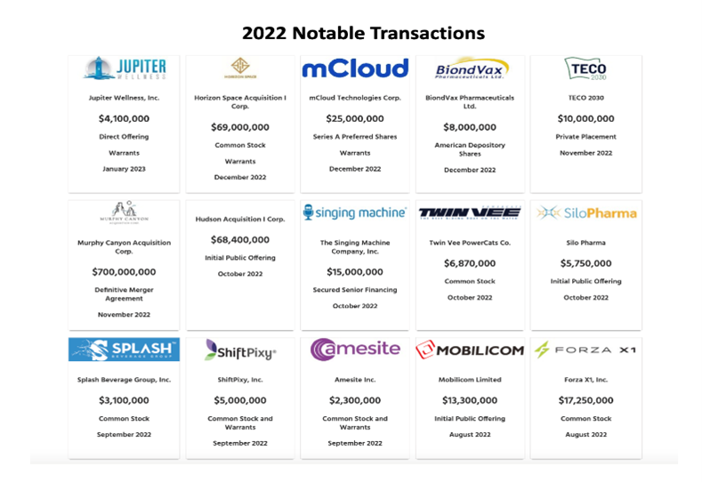 SRF LLP Capital Market Transactions