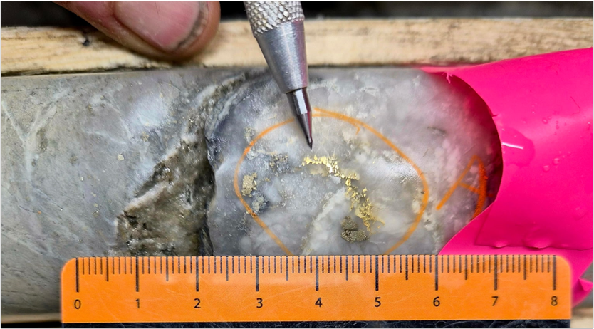 Visible Gold – Swanson Deposit (drilling by LaFleur Minerals) 