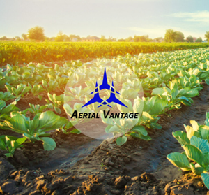 Featured Image for Aerial Vantage