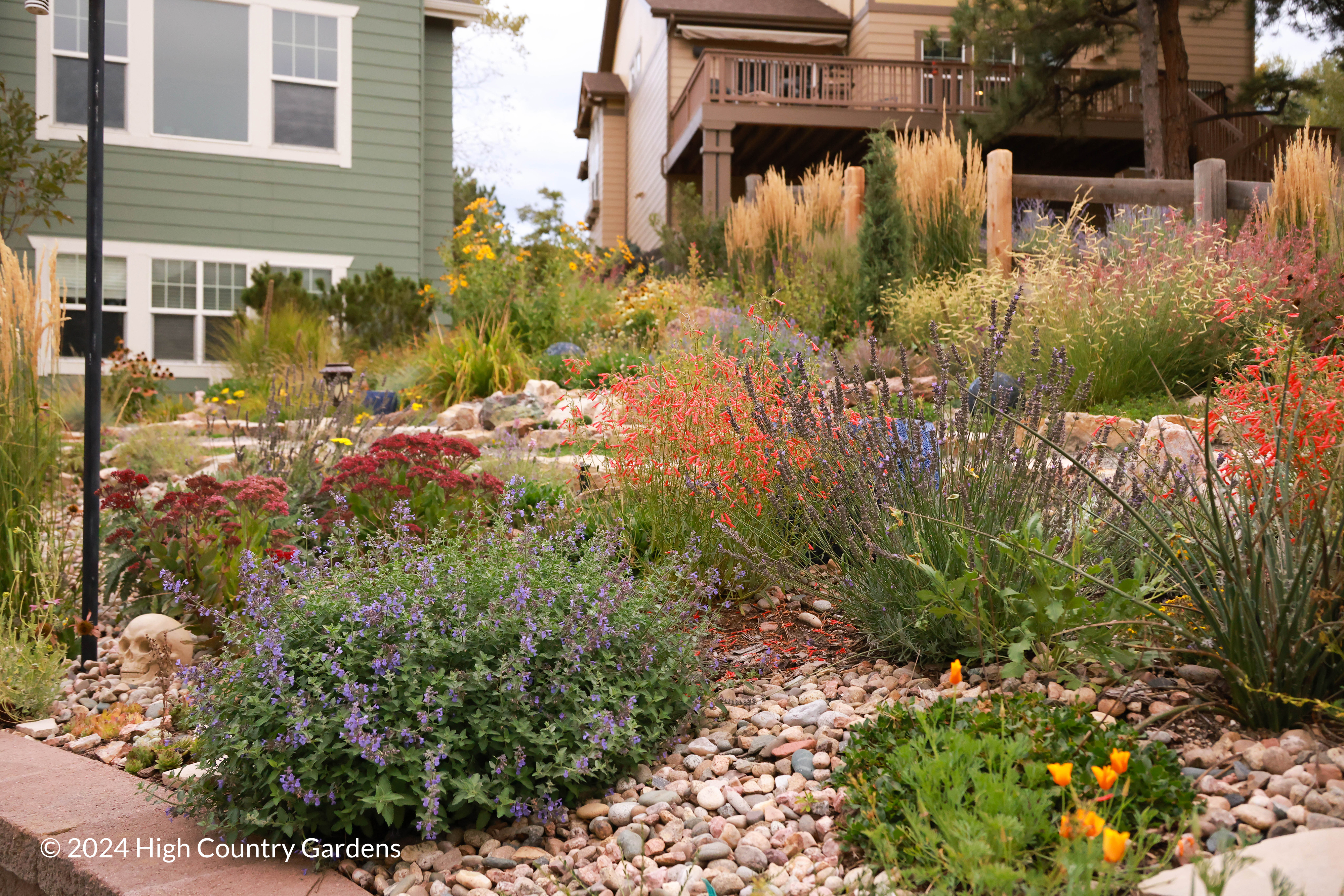 High Country Garden's Customer Sustainable Backyard - Castle Rock, CO