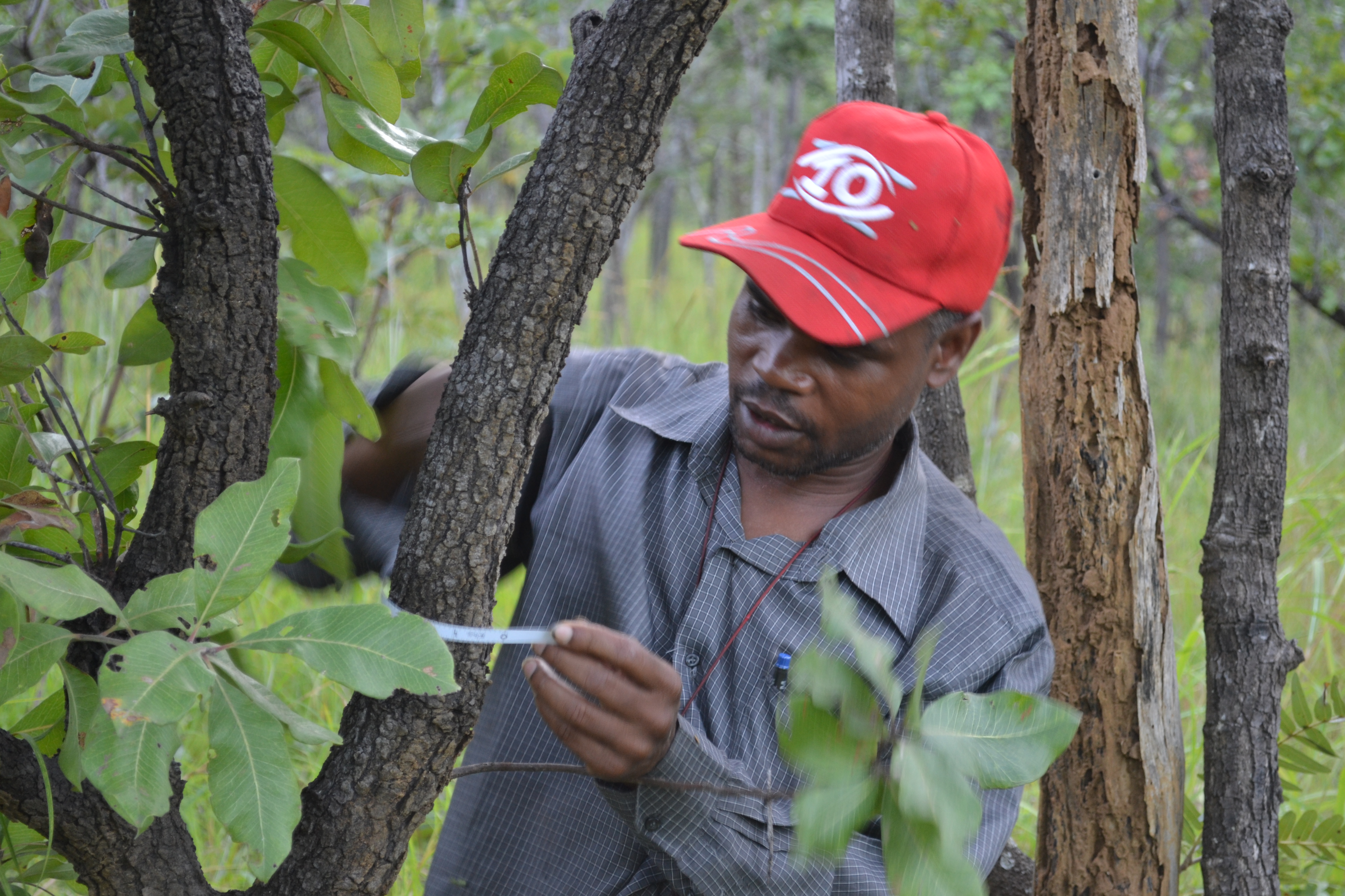 Carbon neutral socially conscious projects 