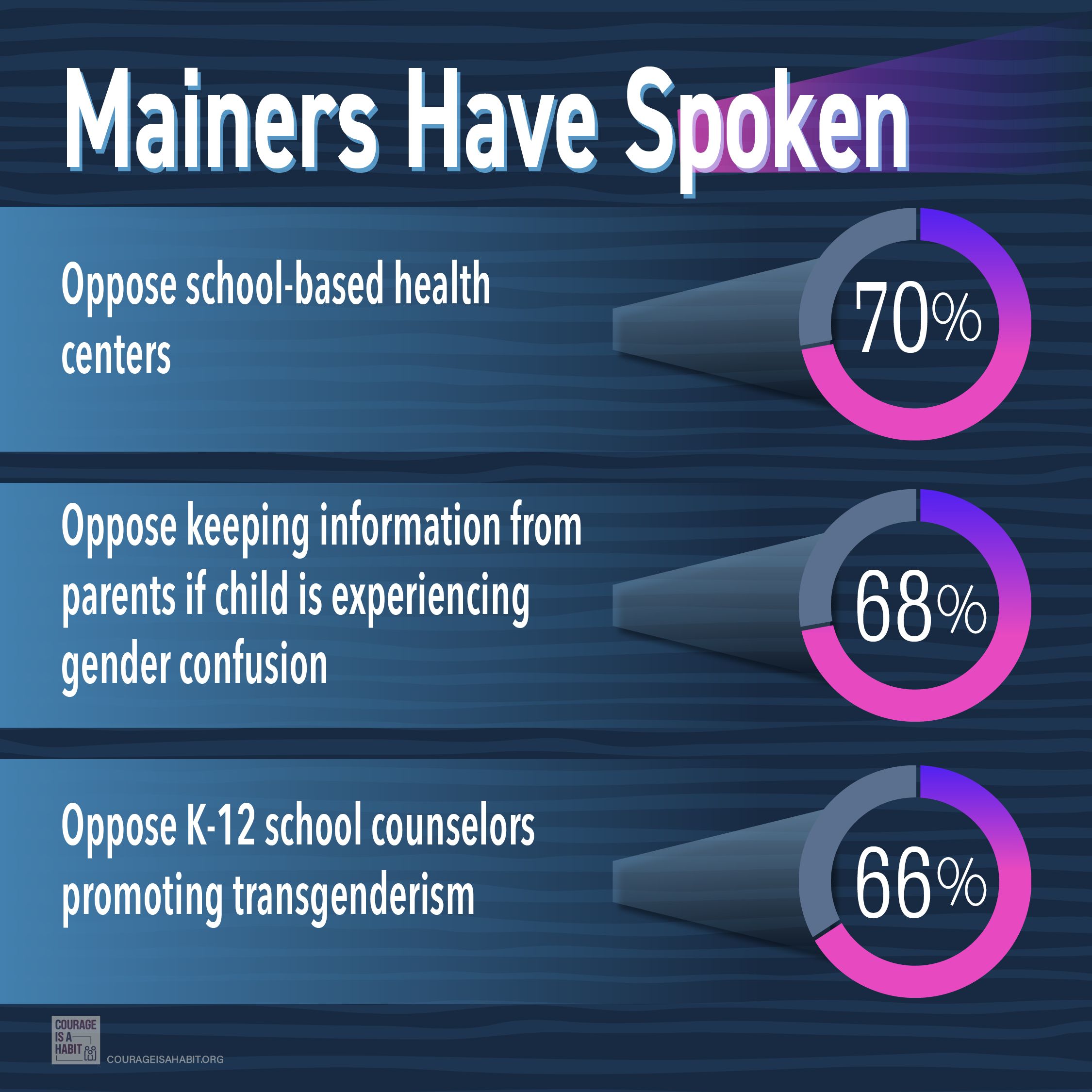 April 2025_MaineSurveys