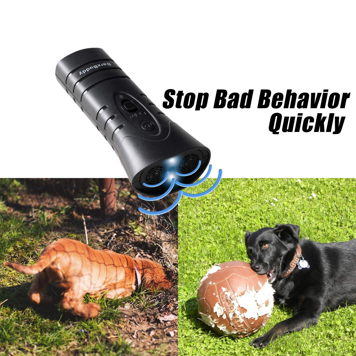 BarXBuddy Reviews