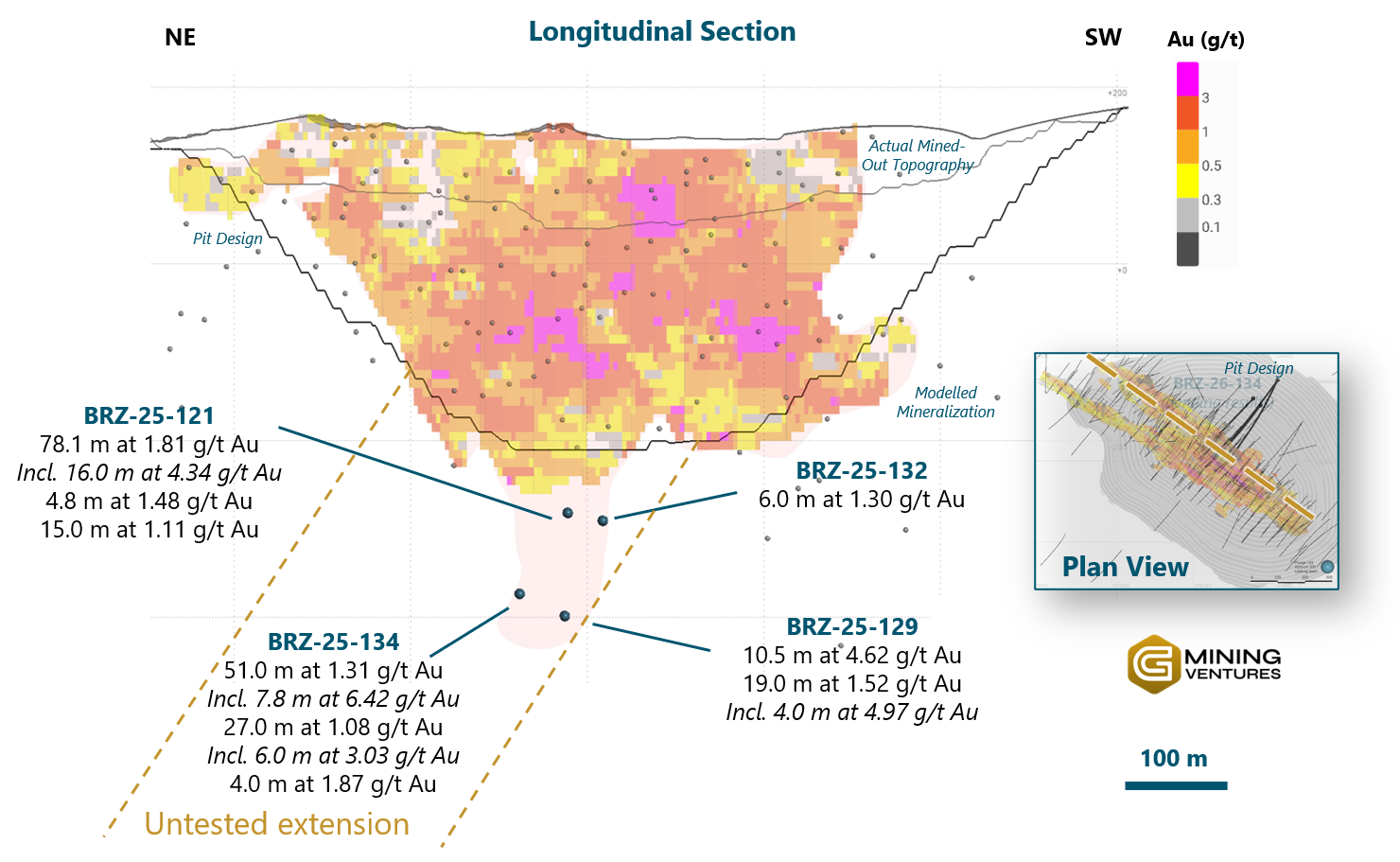 Figure 5 - Long section of the TZ deposit