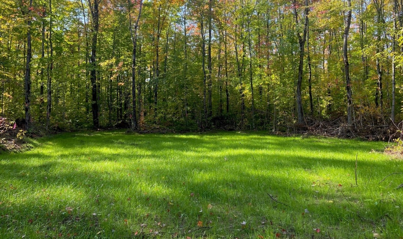 Impacted wetland areas are hydroseeded to maintain soil erosion capabilities.