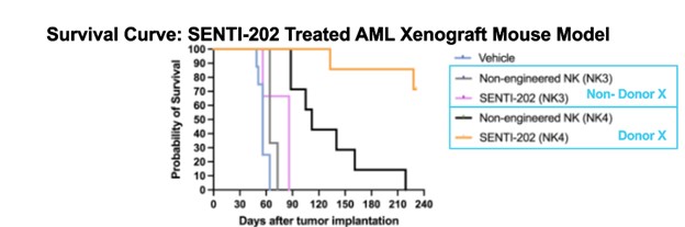 SENTI-202 Treated AML Xenograft Mouse Model