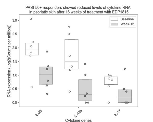 PASI-50+ responders showed reduced levels of cytokine RNA in psoriatic skin after 16 weeks of treatment with EDP1815