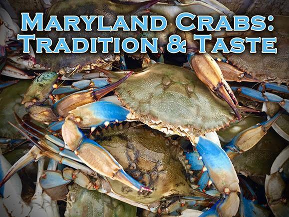This half-hour MPT film tells stories of Maryland's all-important crabbing industry: those who catch them, buy them, and serve them for the crab-eating public.