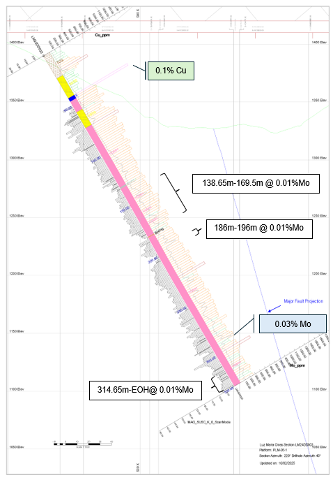 Western Metallica Resources Corp.-5