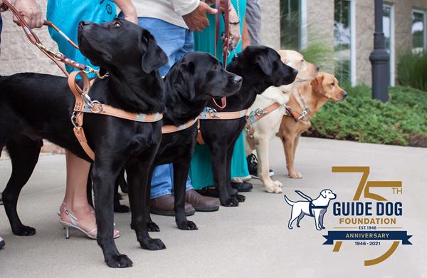  Six guide dogs in a row with their new handlers