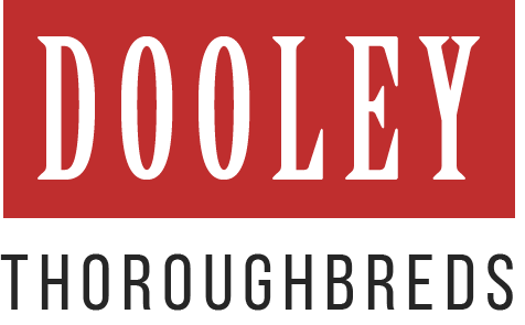 dooley-thoroughbreds-logo.png