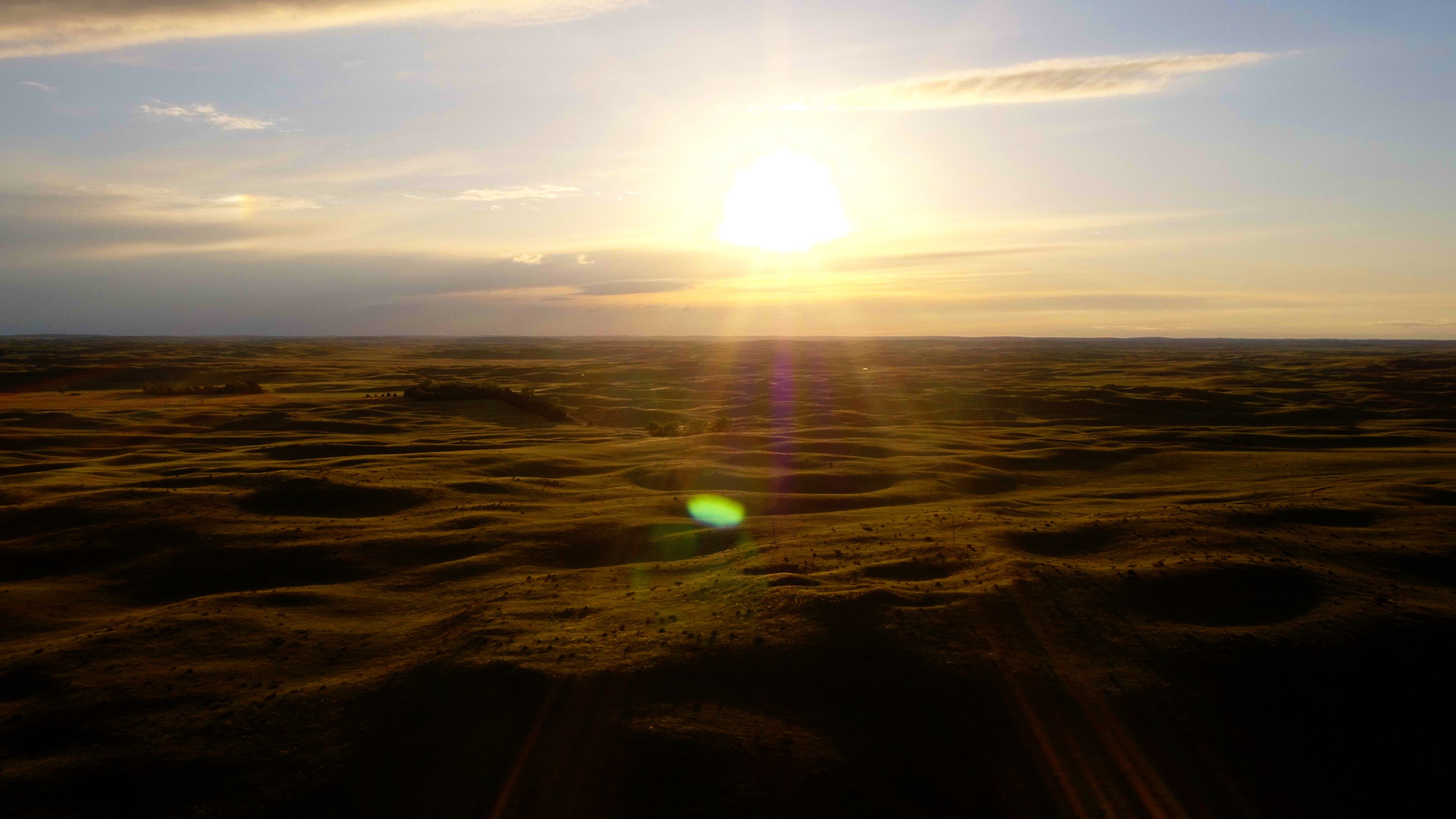 GrayBull at sunrise