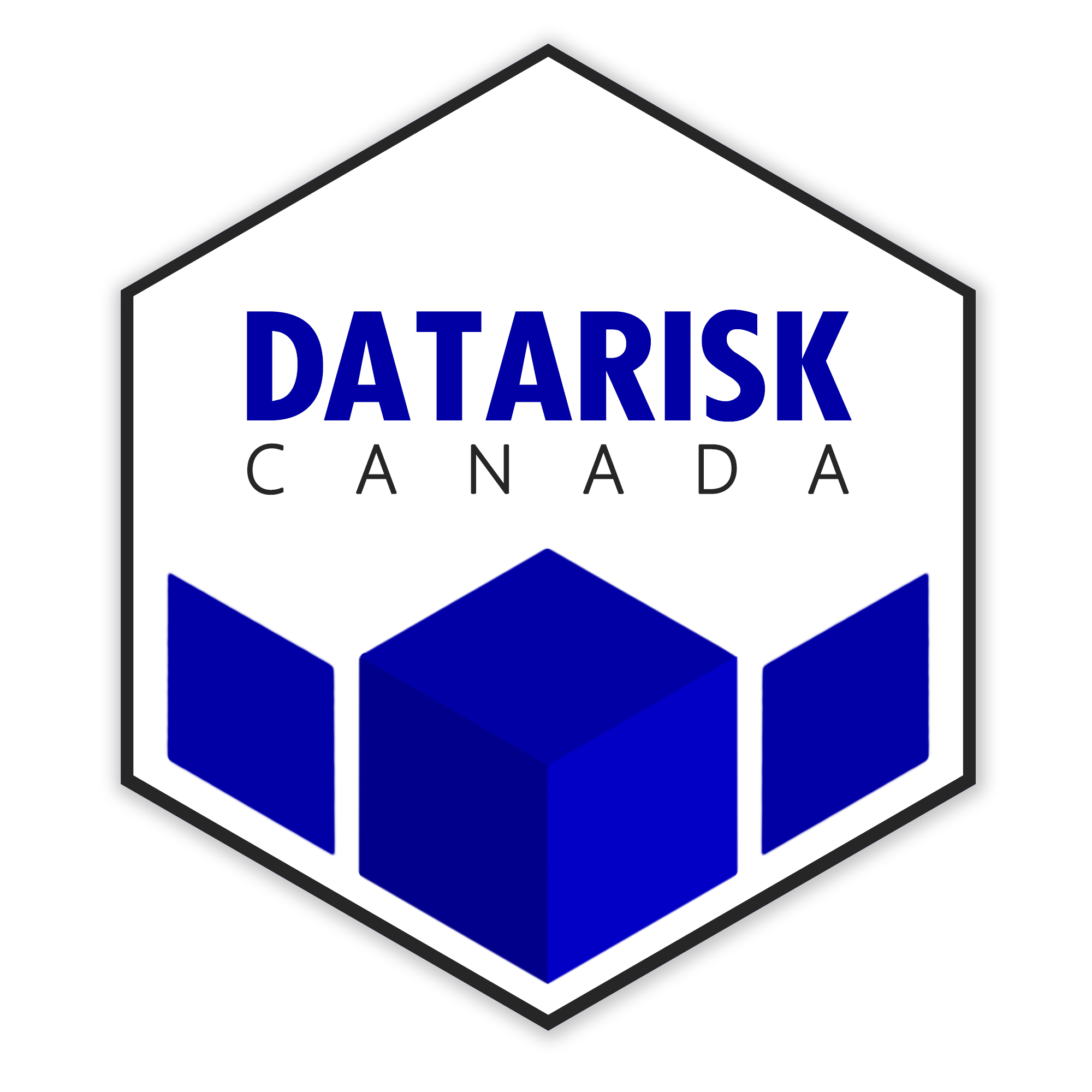 datarisk-caps-blue.png