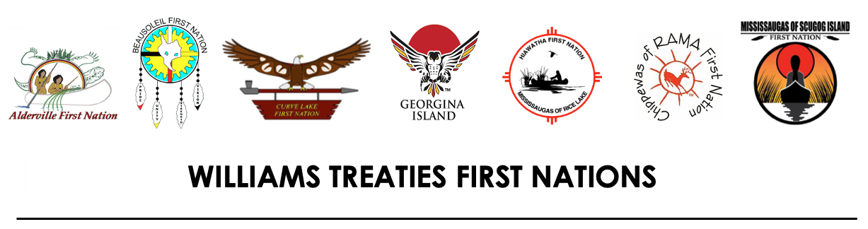 WTFN Logos 2026.png