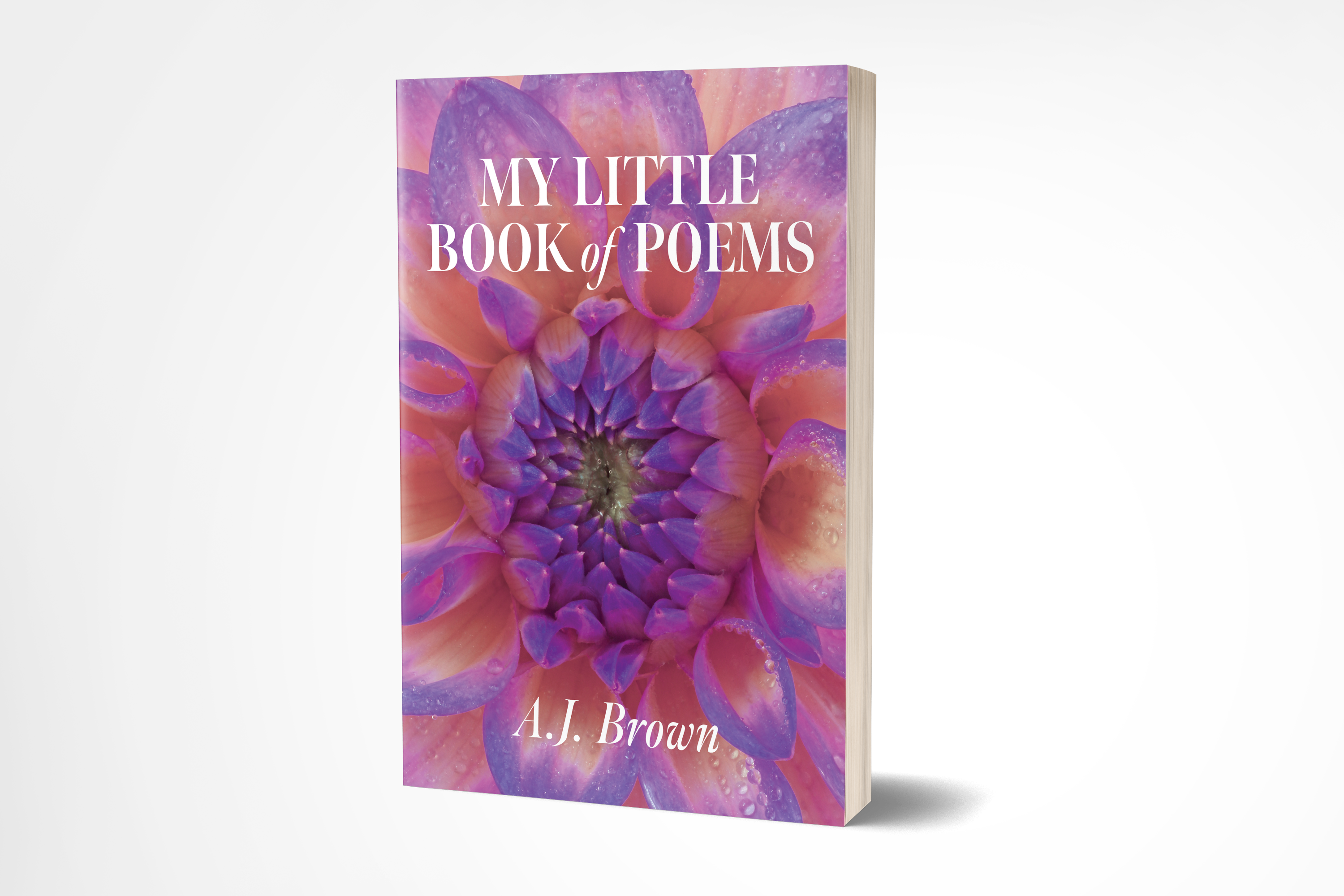 My Little Book of Poems