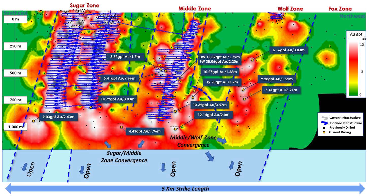 Longitudinal - Contoured Gold Grades and Intersections