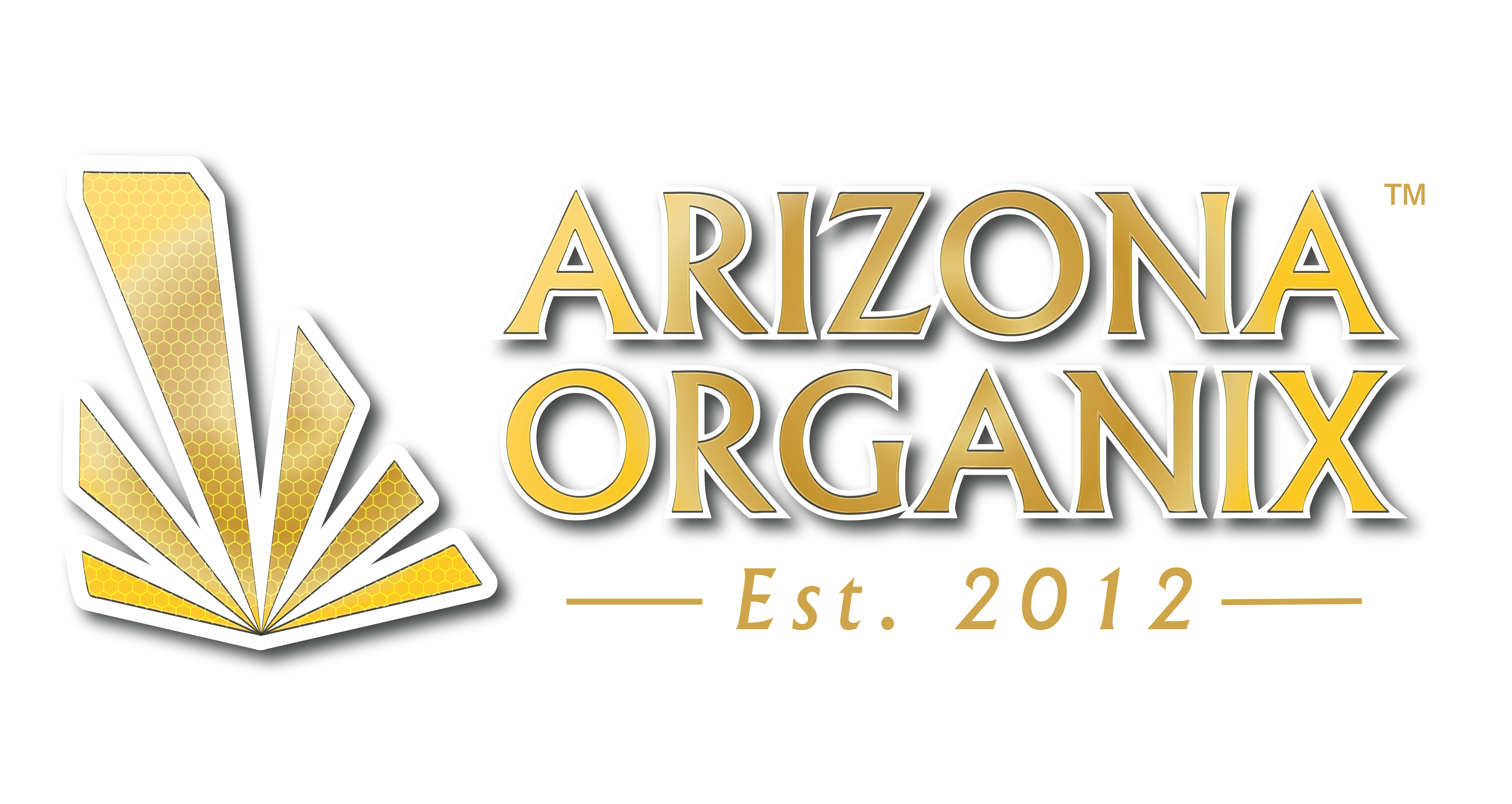 Arizona’s First Disp