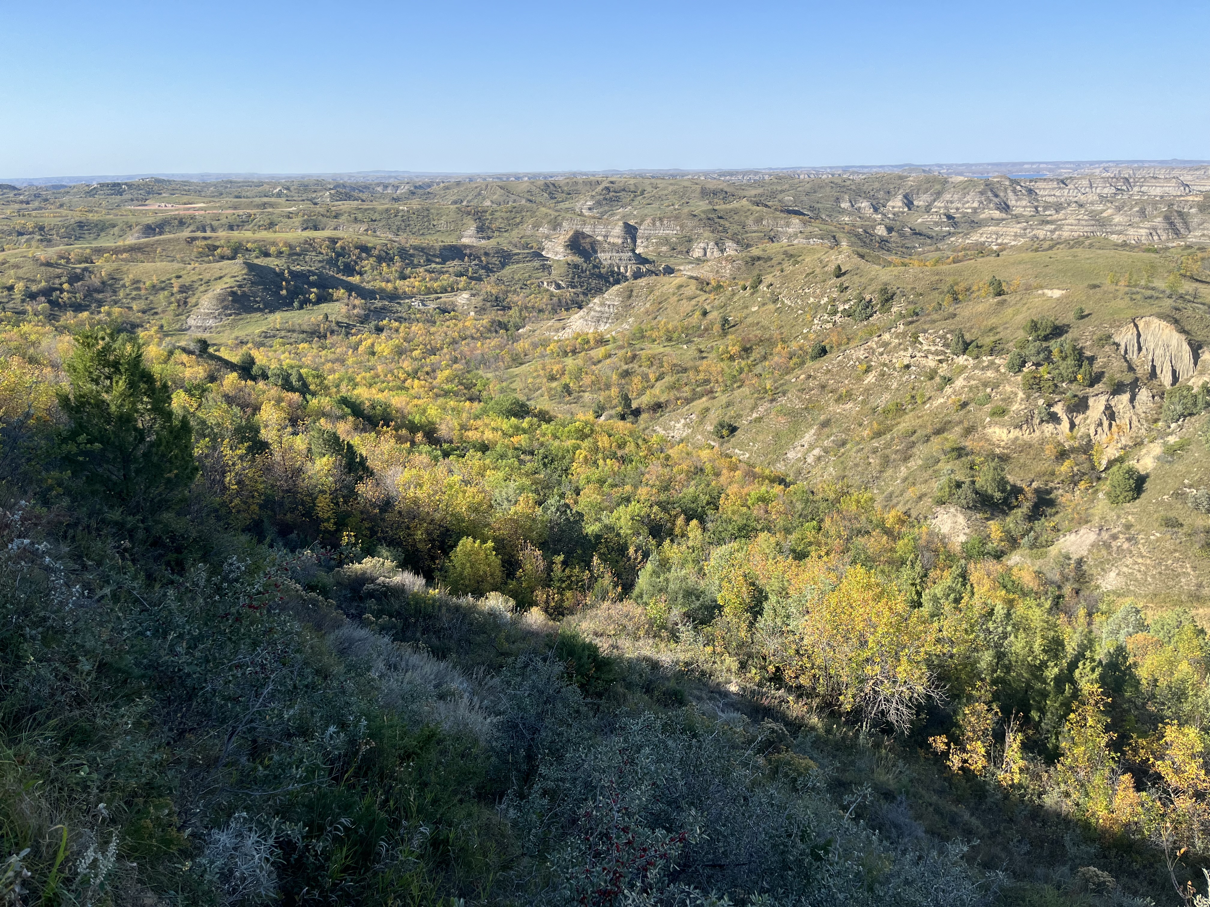 Little Missouri Conservation Bank Approved to Provide Dakota Skipper Mitigation in North Dakota