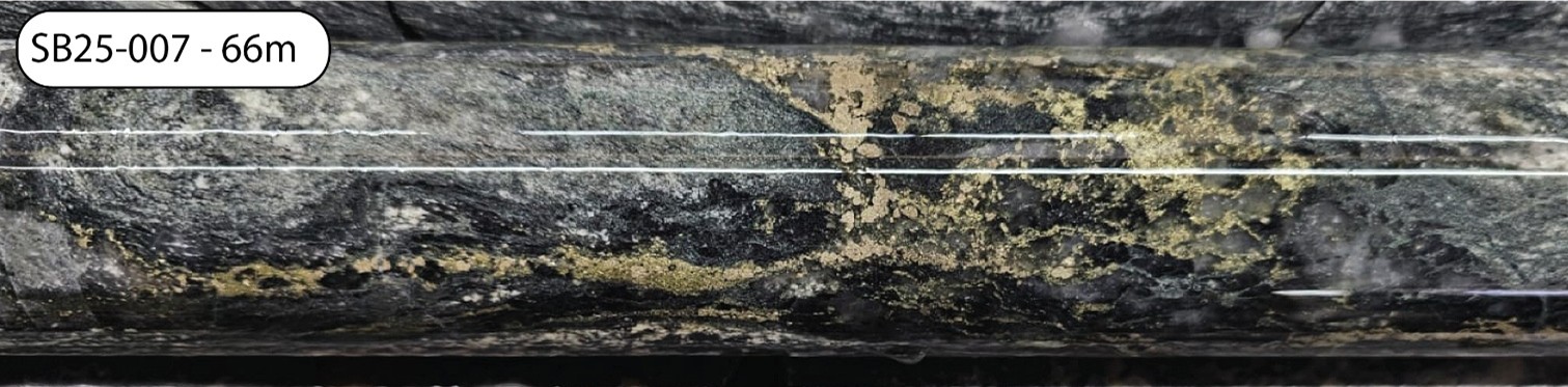VR Resources Identifies Geochemical Trends from New Data on Copper-Gold Veins at Silverback Project, Ontario