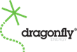 Dragonfly Energy Reports Fourth Quarter 2023 and Full Year Financial Results