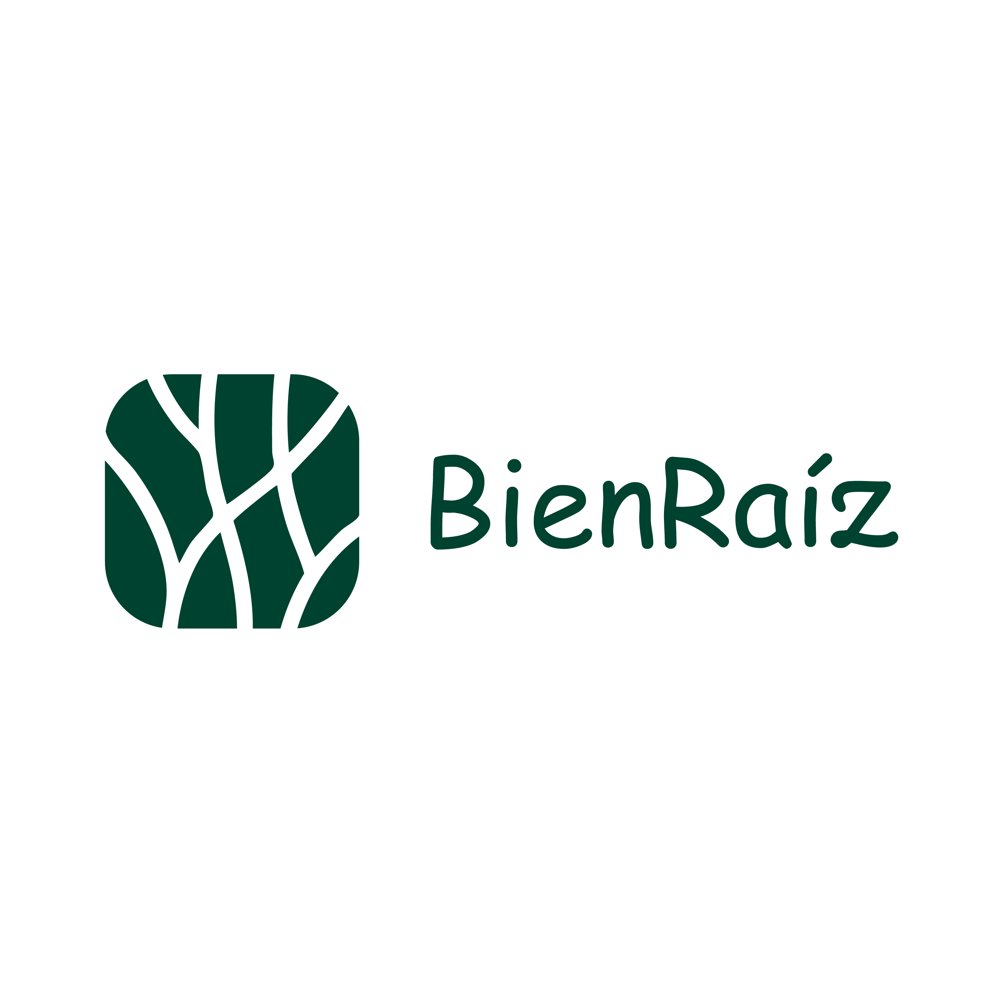 BienRaíz-logo.png