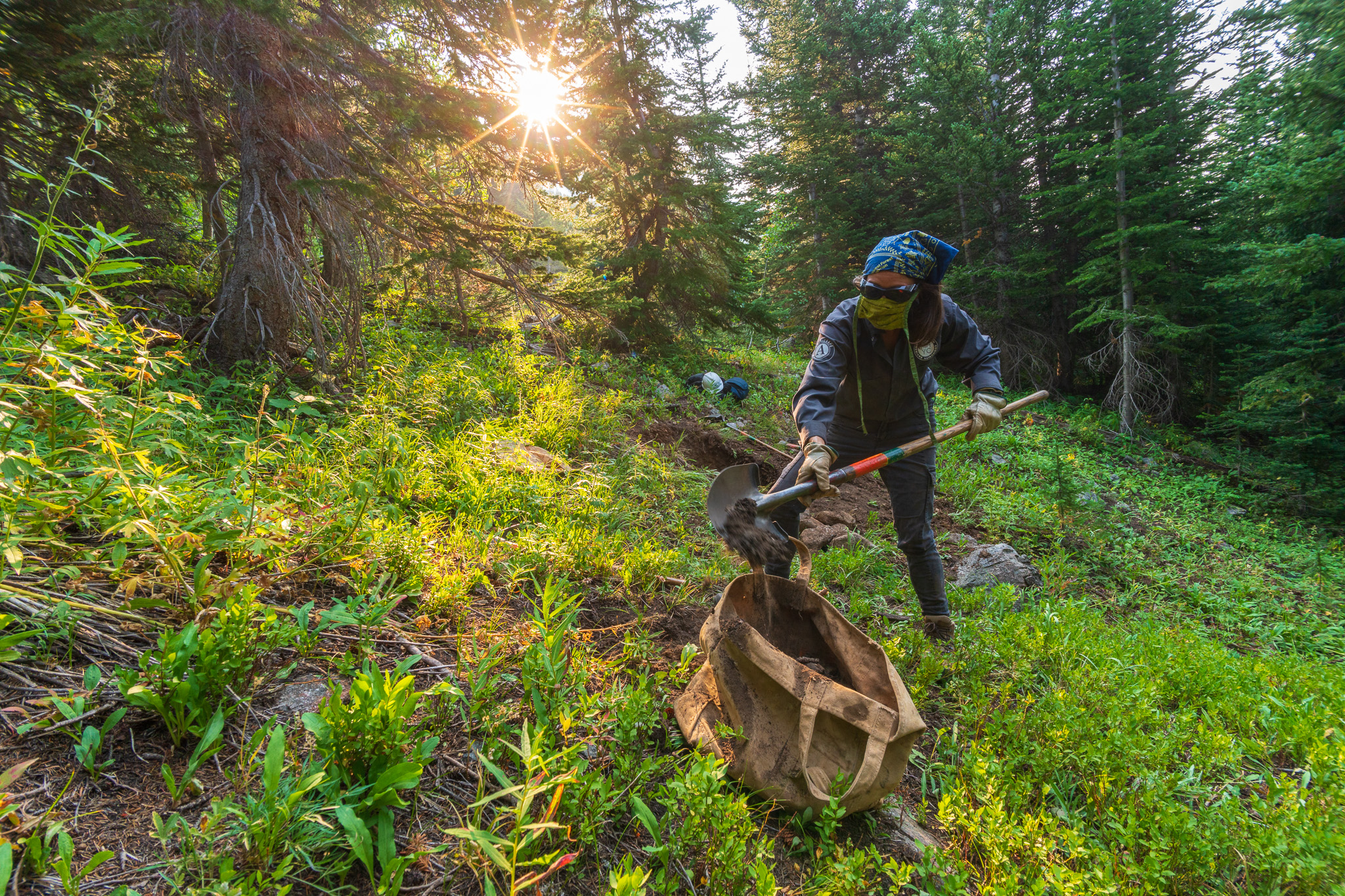 A strike team member at work.  Photo courtesy of the National Forest Foundation.