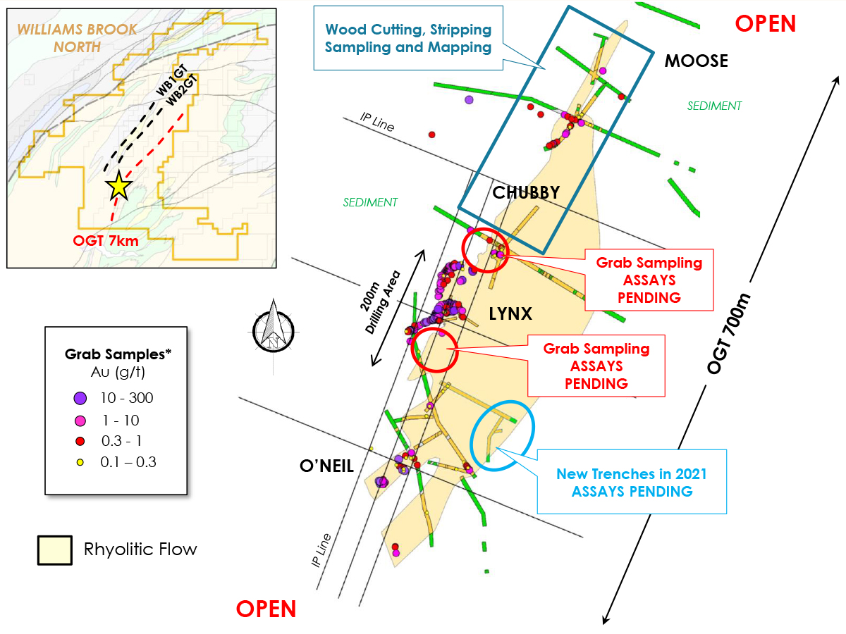 Figure 2. Current Work-in-Progress at O’Neil Gold Trend