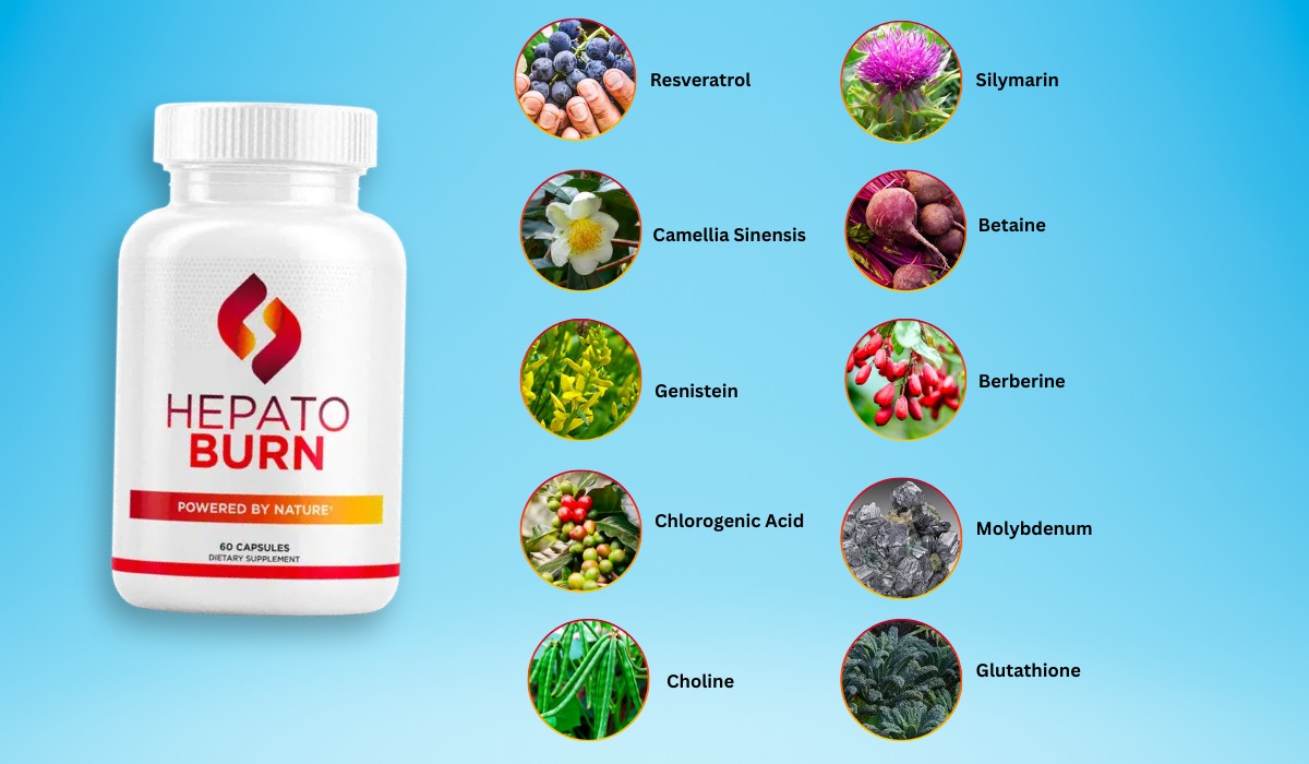 HepatoBurn Ingredients