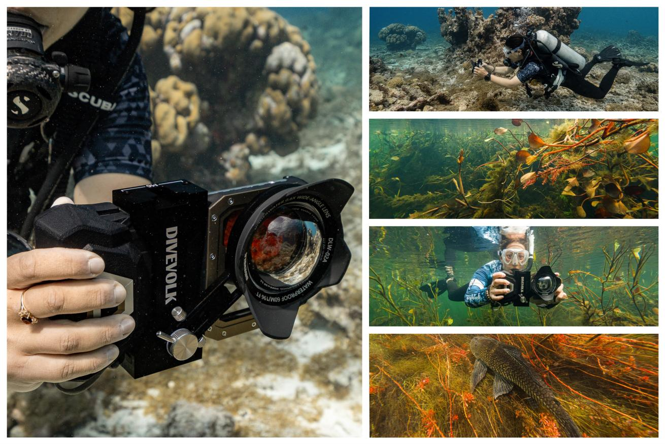 Edges of Earth expedition team using DIVEVOLK housing in sub-Antarctic kelp forest