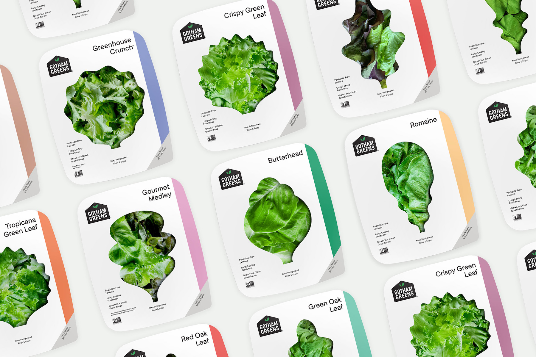 New York-based indoor ag company Gotham Greens raises $87 million