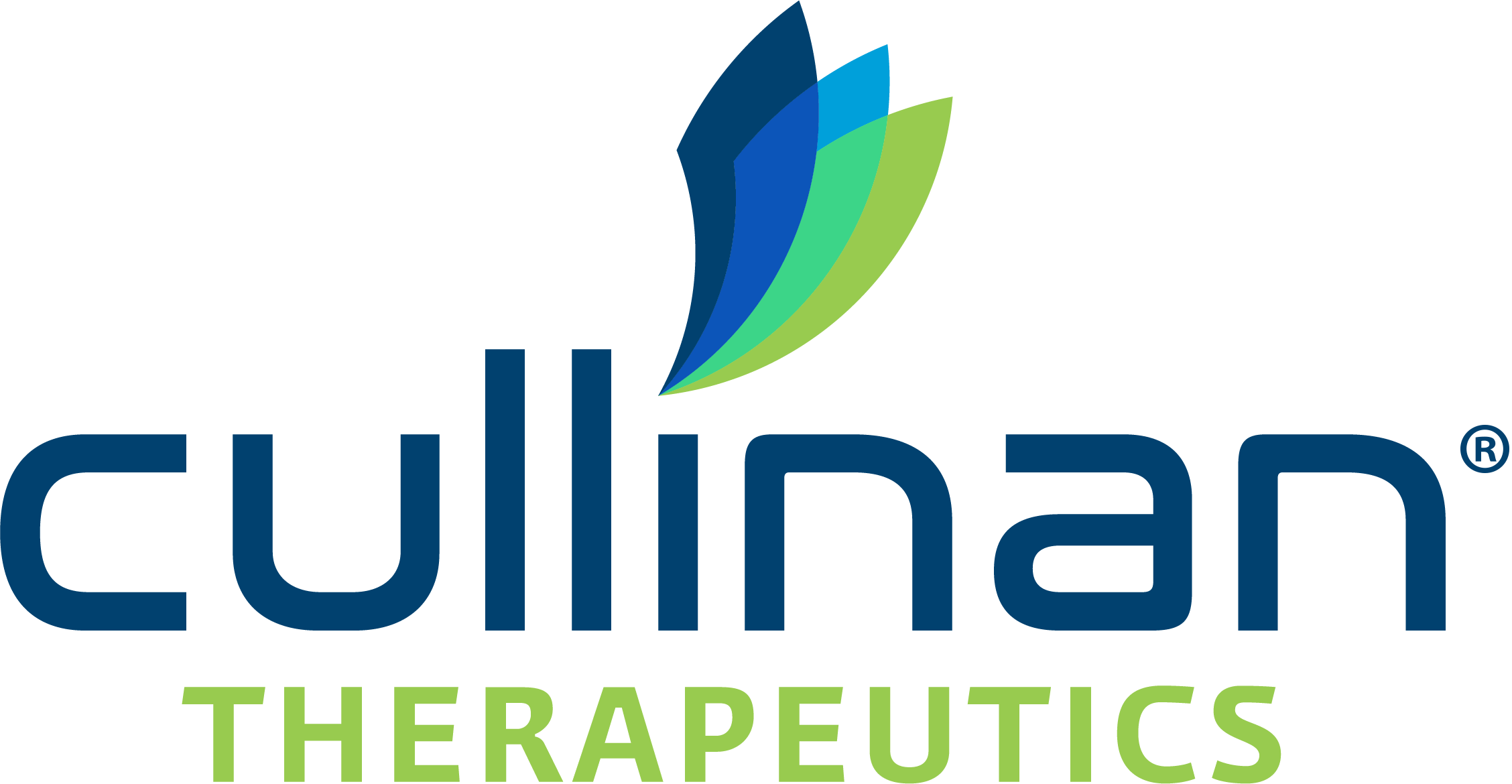 Cullinan Therapeutics to Showcase New Data Demonstrating Compelling Clinical Activity for CLN-049, a Novel FLT3xCD3 T Cell Engager, in AML Patients in an Oral Presentation at the 67th ASH Annual Meeting