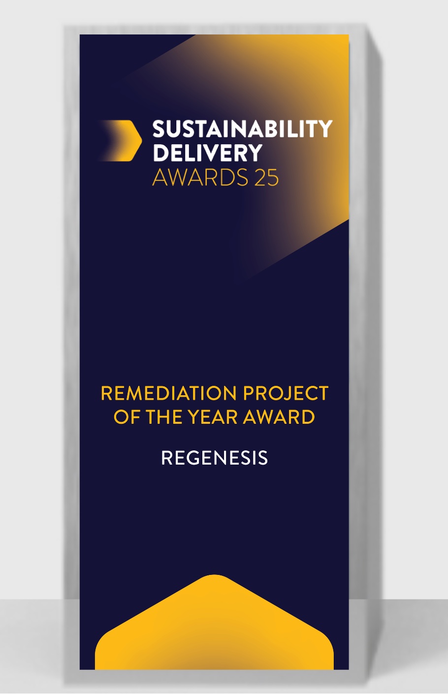 REGENESIS Remediation Project of the Year Award