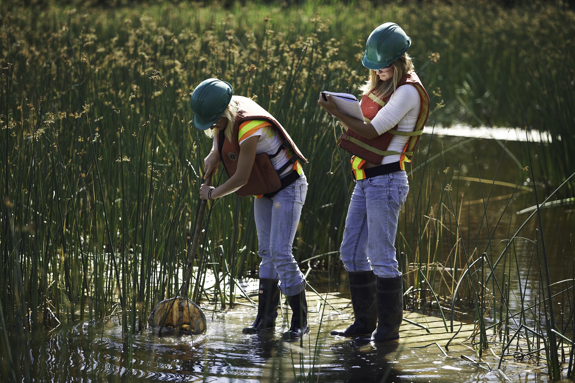 Suncor employees monitoring wetlands, courtesy Suncor Energy Inc.
