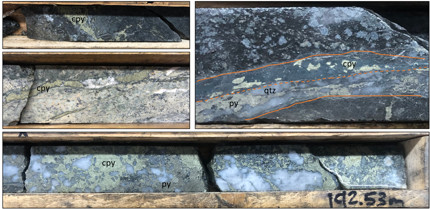 HOP22-DDH04 Top left: quartz-carbonate-chalcopyrite vein in propylitic alteration at 173m.