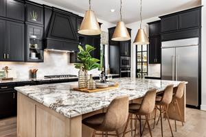 “This neighborhood truly exemplifies the Toll Brothers luxury brand and lifestyle for which we are known,” said David Assid, Division President of Toll Brothers in Houston.