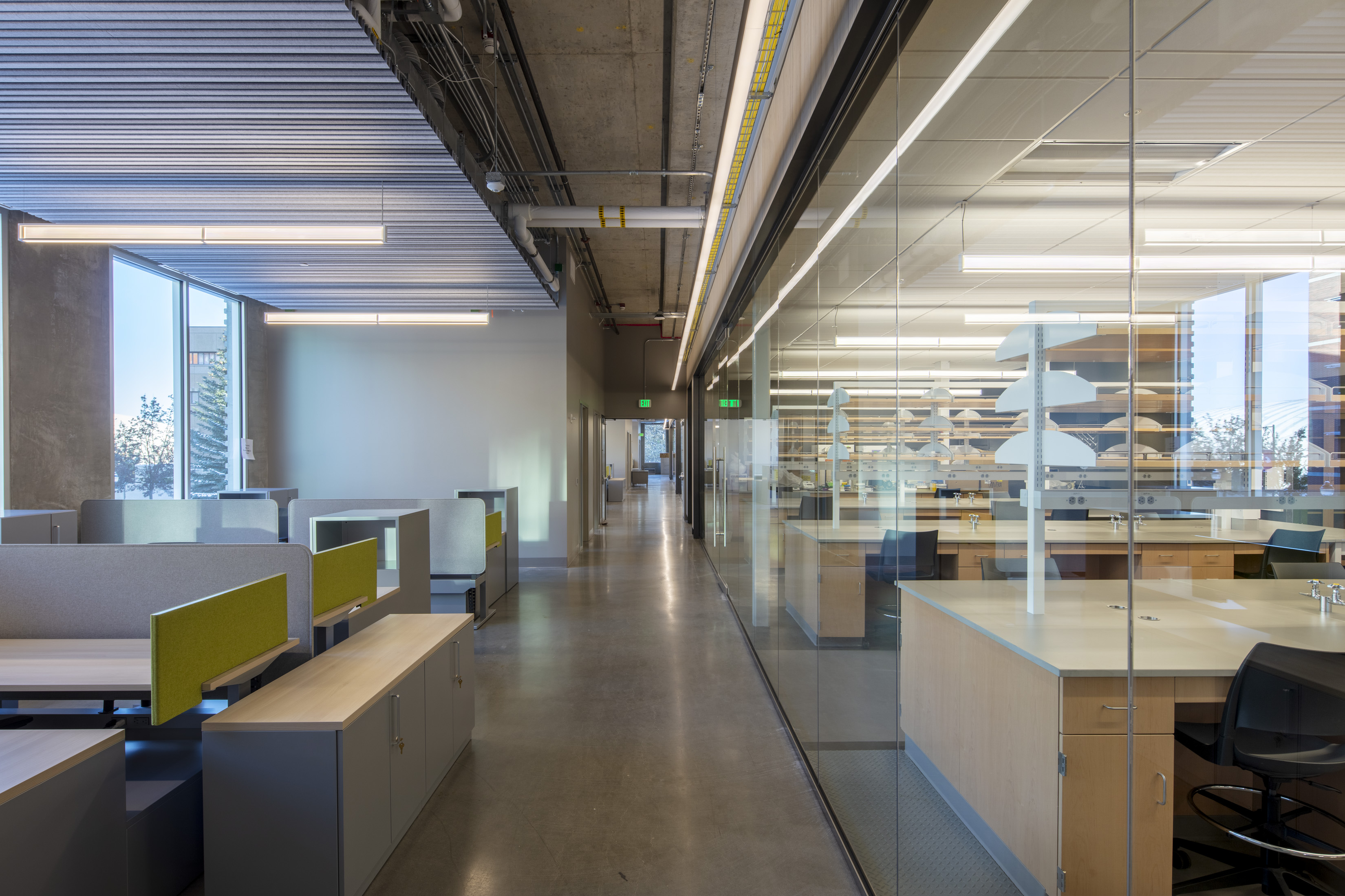 Interior view of the new Plant Sciences Building in Pullman, Washington. Photo: © Adam Hunter/LMN Architects.