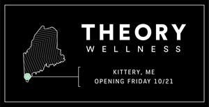 Theory Wellness Kittery Grand Opening