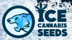 ICE Cannabis Seeds Logo.png