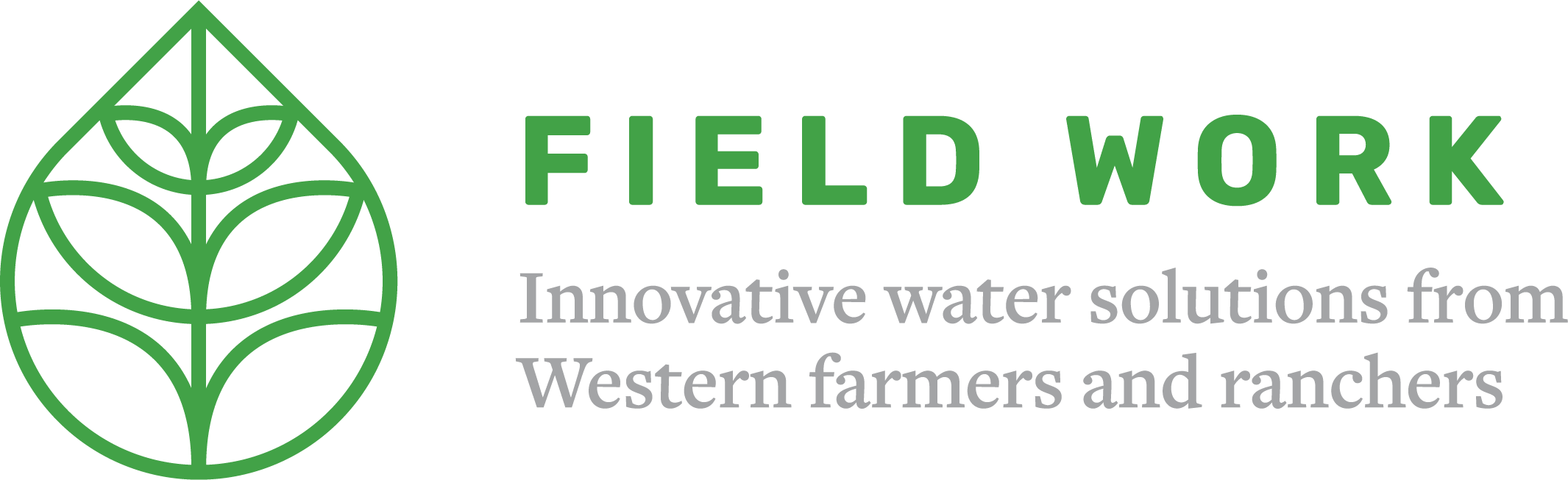 Field Work Logo