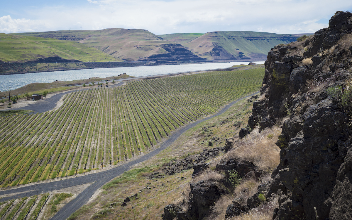 The Burn of Columbia Valley AVA, image courtesy of Ste. Michelle Wine Estates.