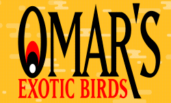 Omar’s Exotic Birds 