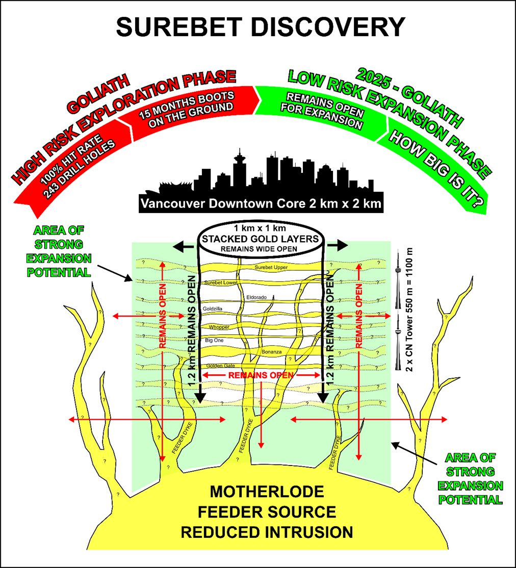 Infographic 4