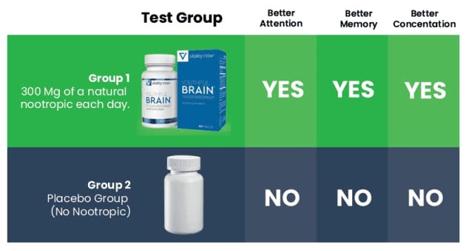 Youthful Brain