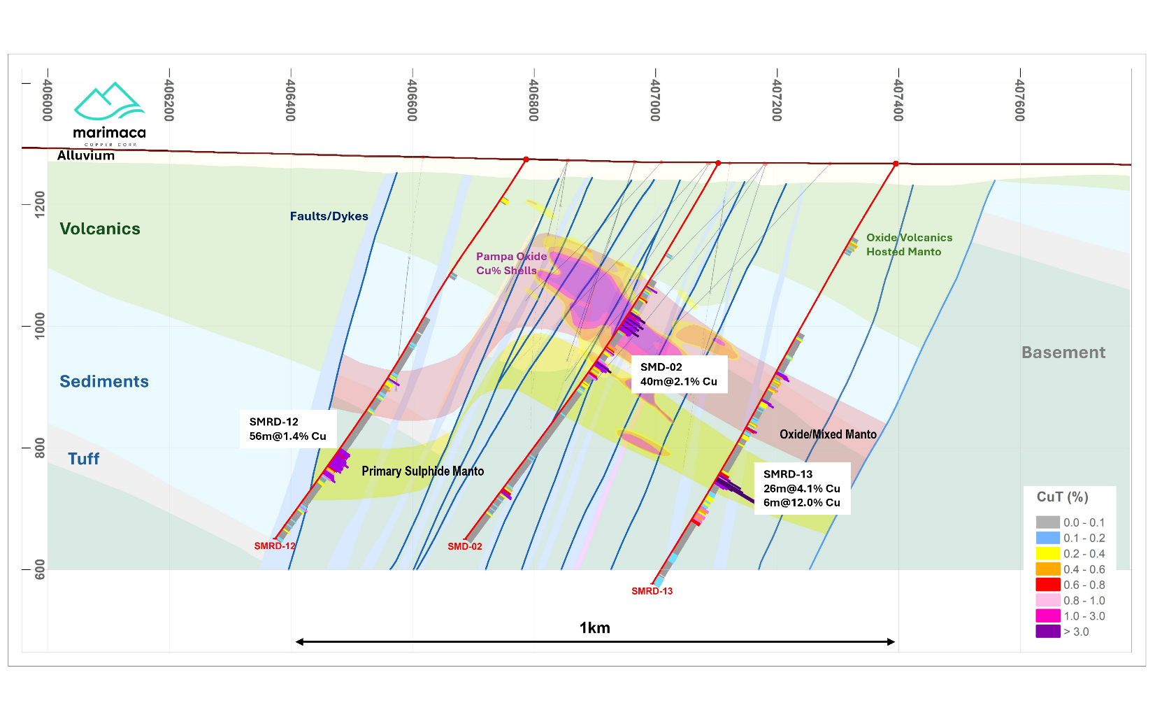 Figure 5 image