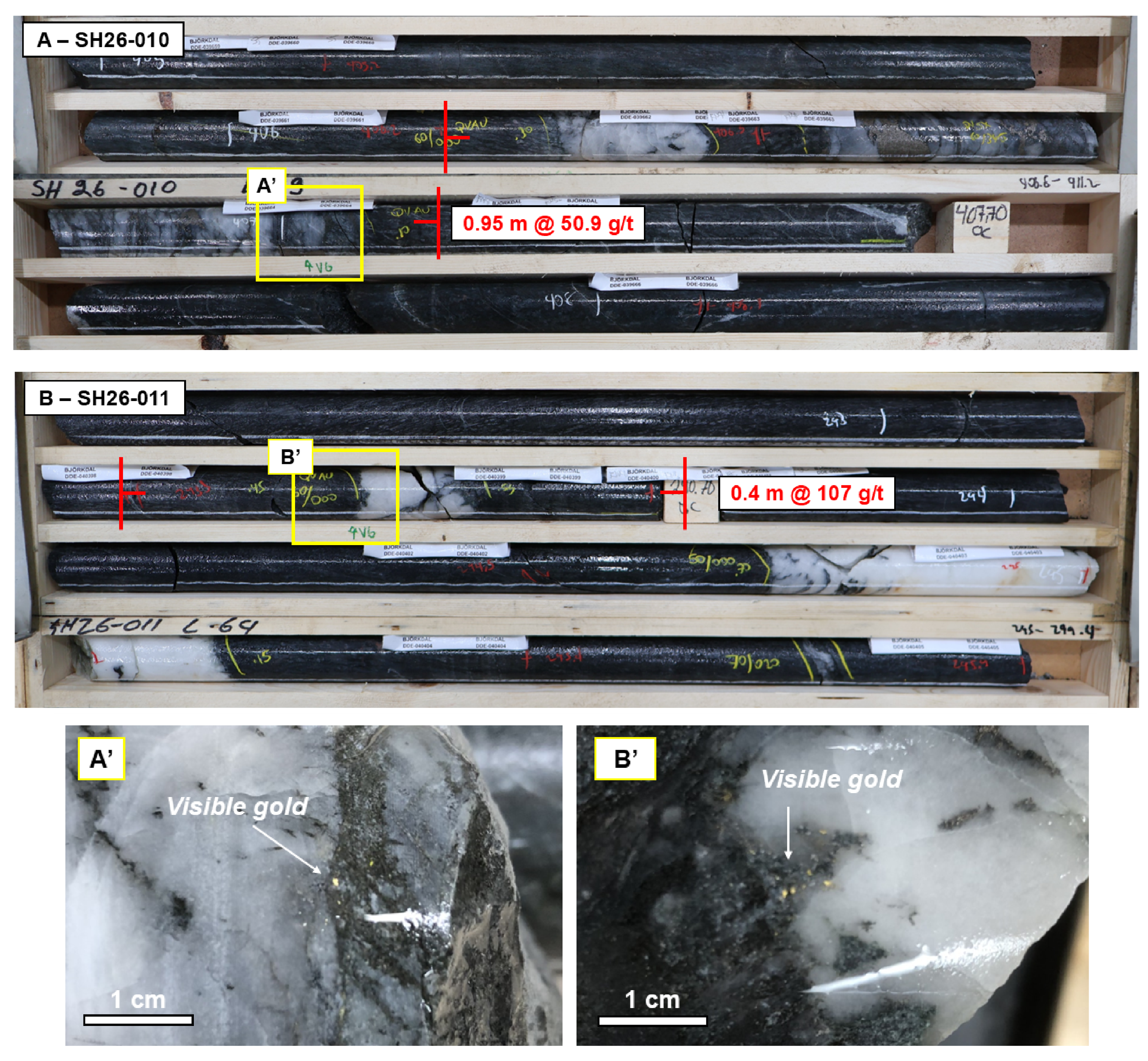 Core tray photograph of high-grade veining in SH26-010  (406.2-407.15 m), and in SH26-011 (293.3-293.7 m). 