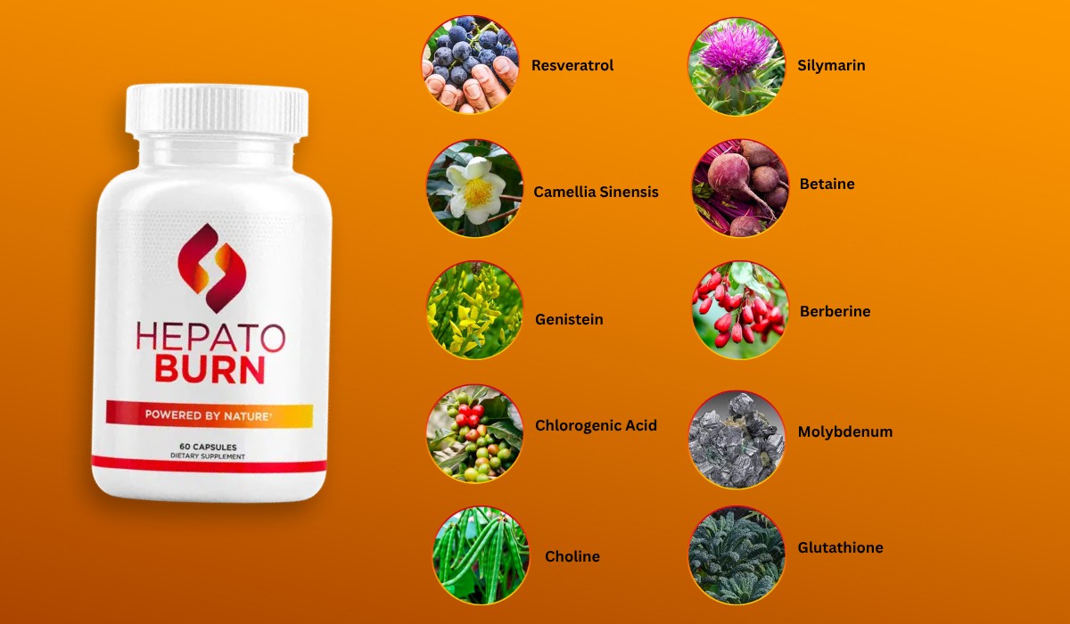 Hepato Burn Ingredients