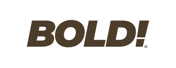 Bold Strategies Logo