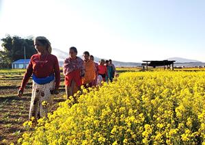 PGS Group Farmers Lead the way in Rural Nepal