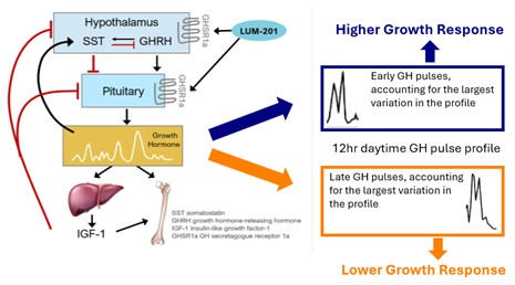 ESPE PR - Graphic 2