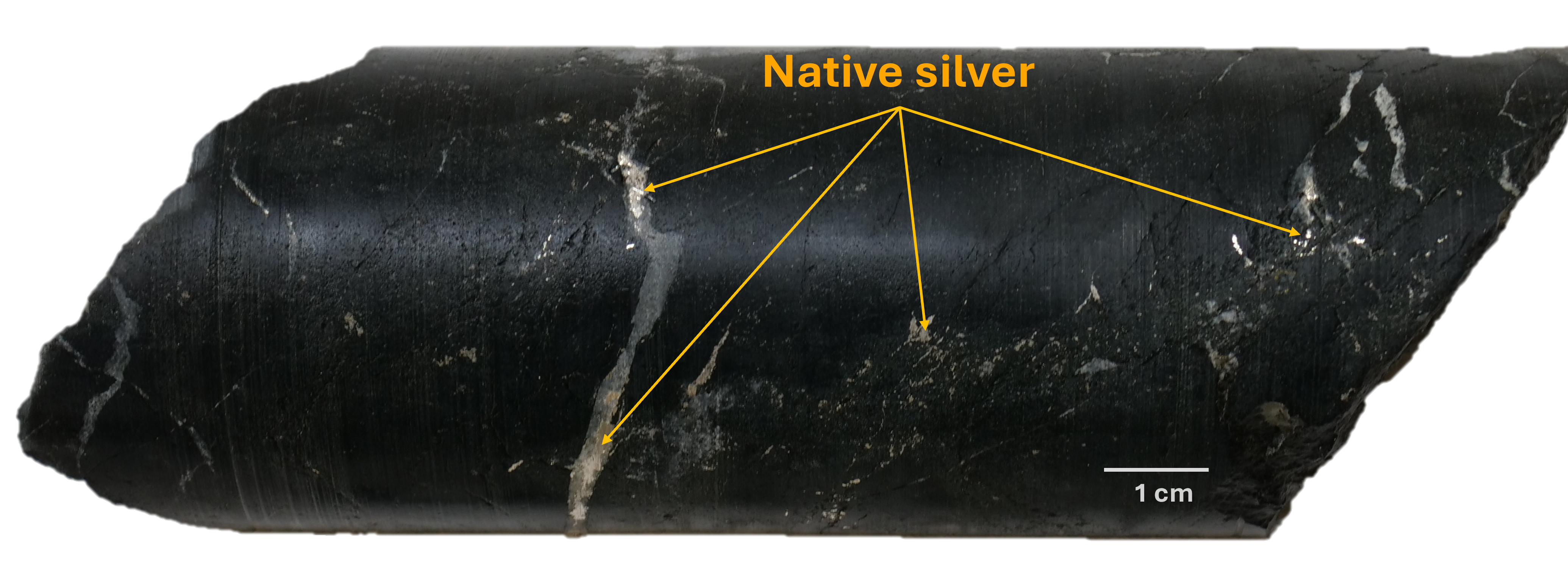 Figure 6 image